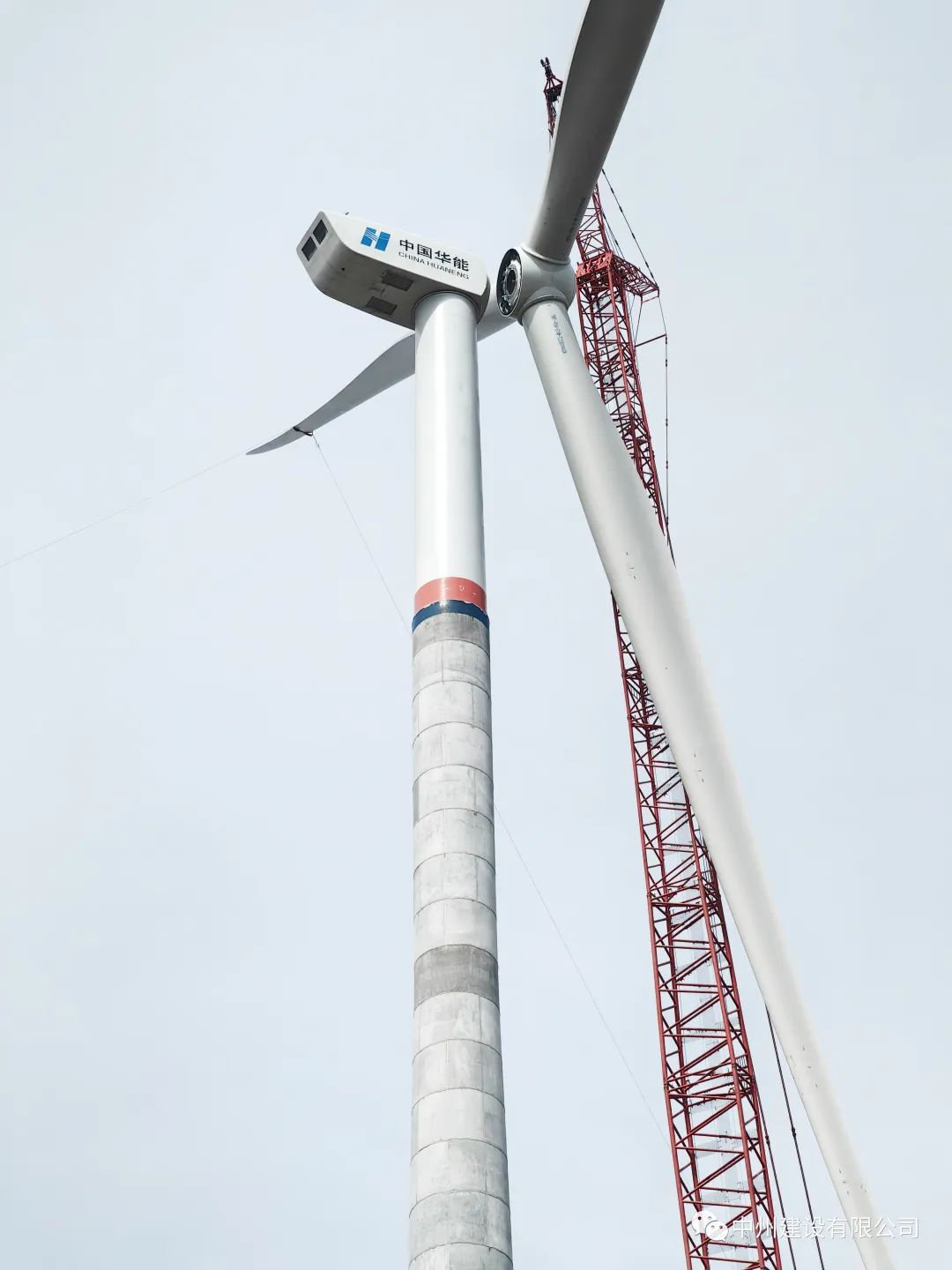 1698397752453985.jpg 1698397752453985.jpg